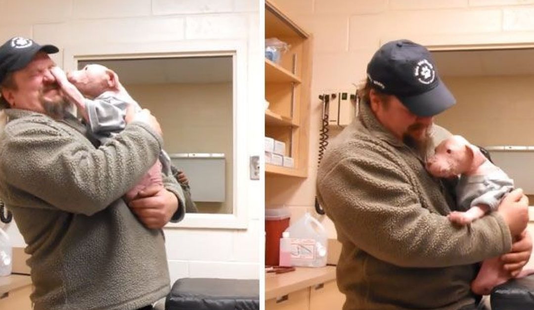 Puppy Shows Uncontrollable Happiness When Rescuer Comes Back To Adopt Him