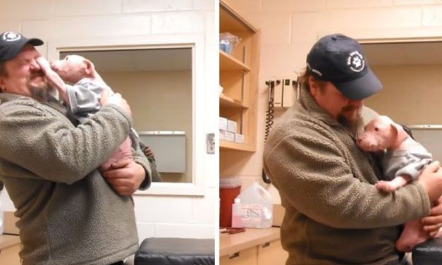 Puppy Shows Uncontrollable Happiness When Rescuer Comes Back To Adopt Him