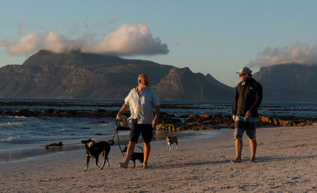 Governments Have Started Putting Harsh Restrictions On Dogs Due To COVID-19 Virus