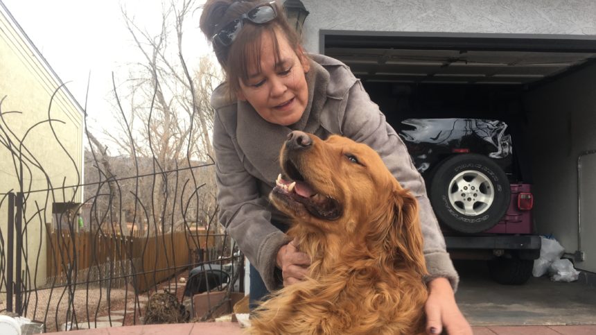 Dog Delivers Groceries To Neighbor In Need During Stay-At-Home Order