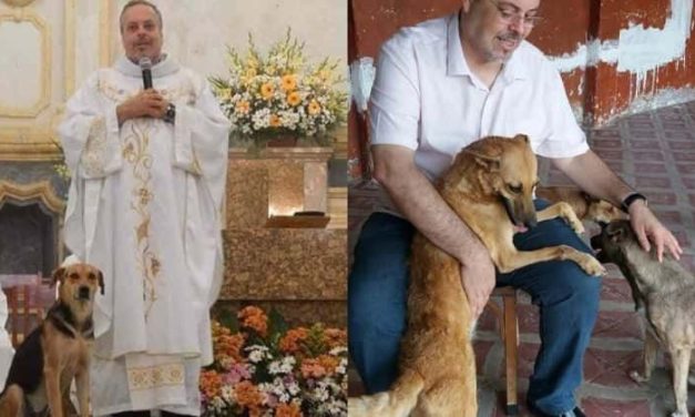 Priests Tries To Find Forever Home To Stray Dogs, As He Brings Them To Mass