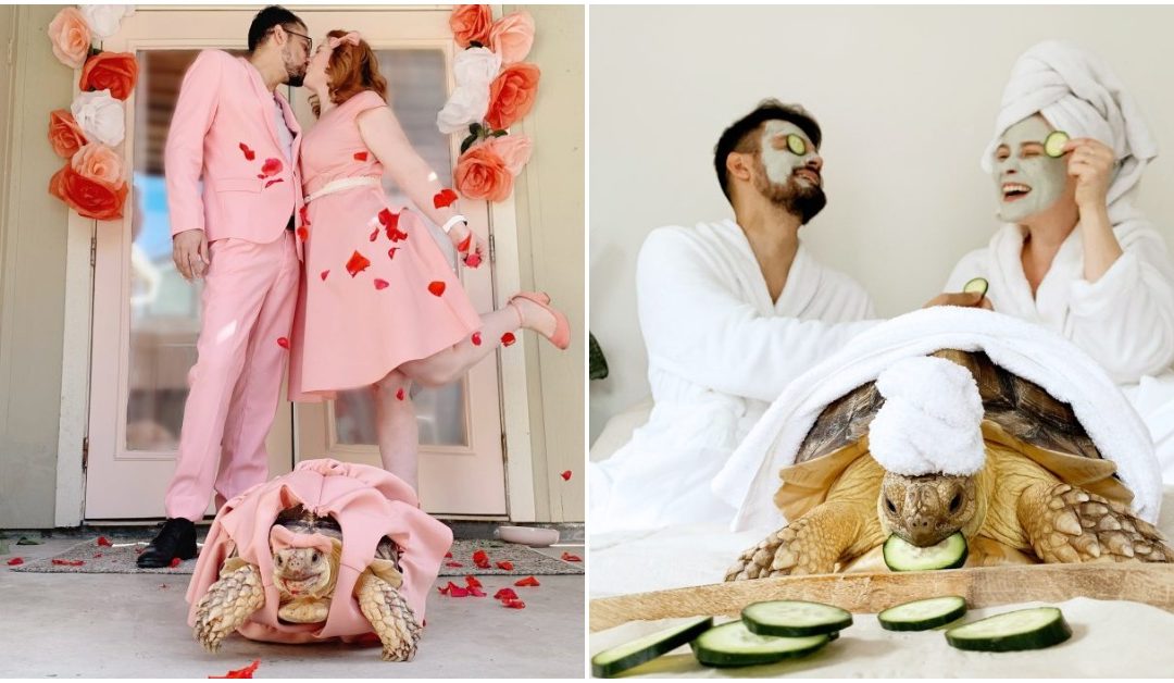Family Matches Outfits With Pet Tortoise And It’s Breaking The Internet
