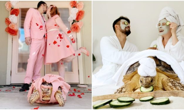 Family Matches Outfits With Pet Tortoise And It’s Breaking The Internet