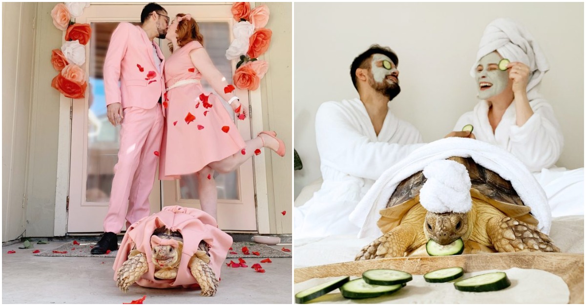 Family Matches Outfits With Pet Tortoise And It’s Breaking The Internet