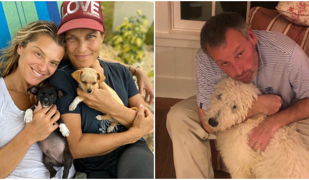 Americans Turn To Dogs For Help To Combat Coronavirus Stress