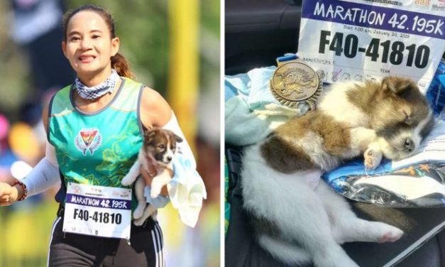 Women On Marathon Stops To Rescue A Stray Puppy And Carries Him To The Finish Line