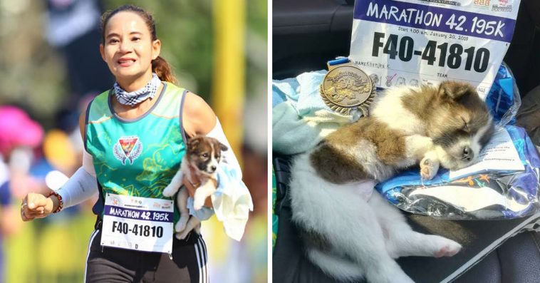 Women On Marathon Stops To Rescue A Stray Puppy And Carries Him To The Finish Line