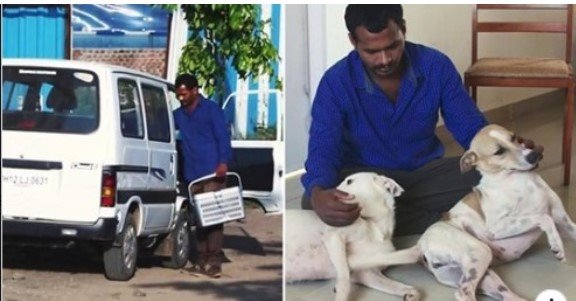 Man Spent 10 Years Saving Money To Buy Ambulance And Help Stray Animals