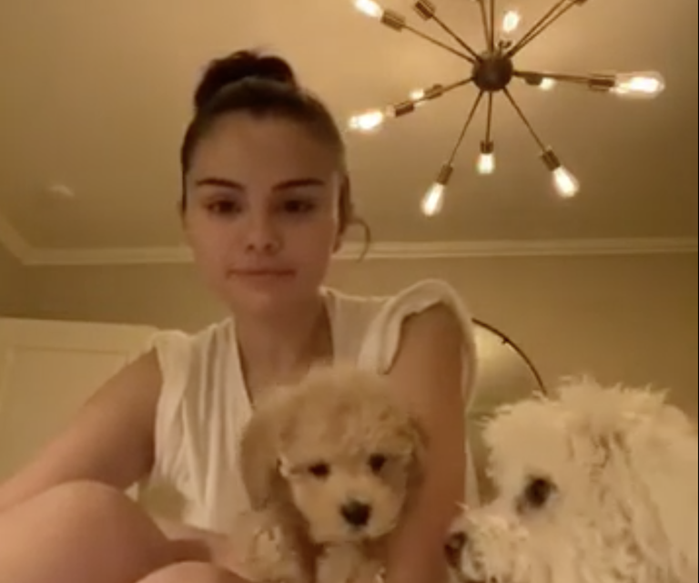 Selena Gomez Introduces Her New Dog On Instagram, And It’s Adorable