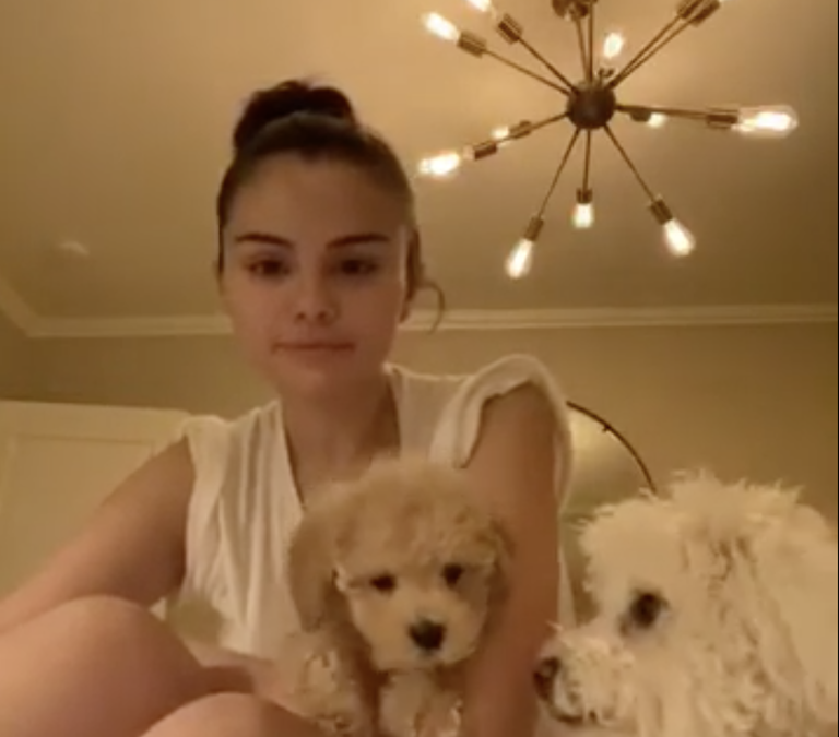Selena Gomez Introduces Her New Dog On Instagram, And It’s Adorable