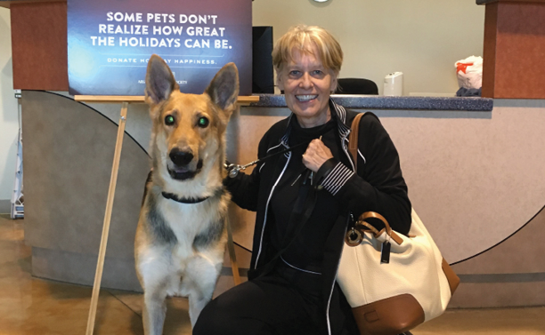 Loving Couple Adopts The Last Shelter Dog – A Blind 5 Year-Old German Shepherd
