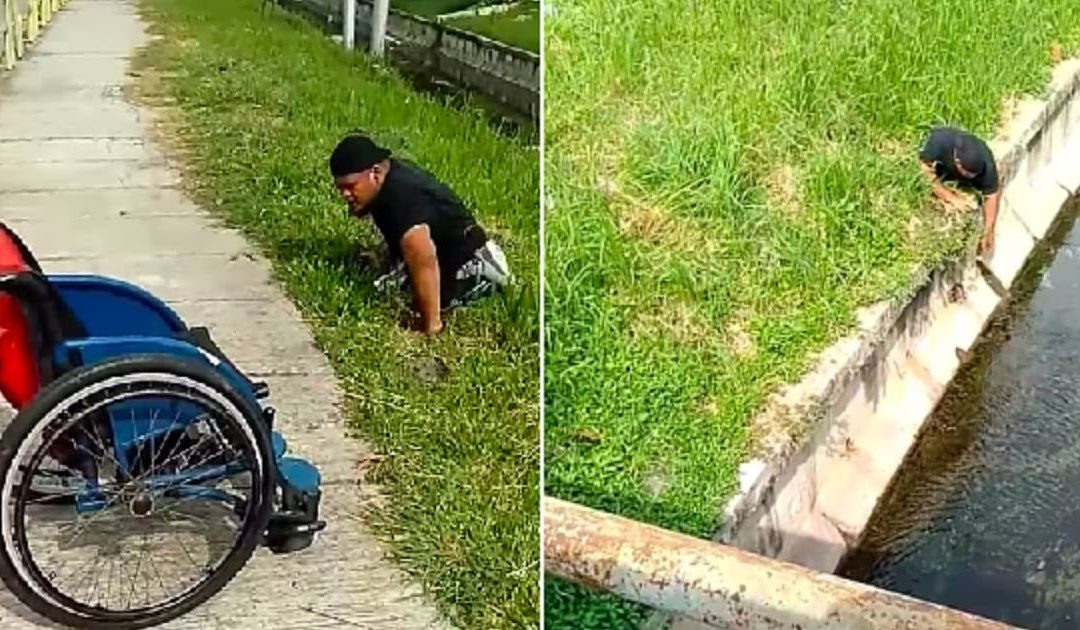 Disabled Man Gets Out Of His Wheelchair To Save Kitten Stuck In Drain