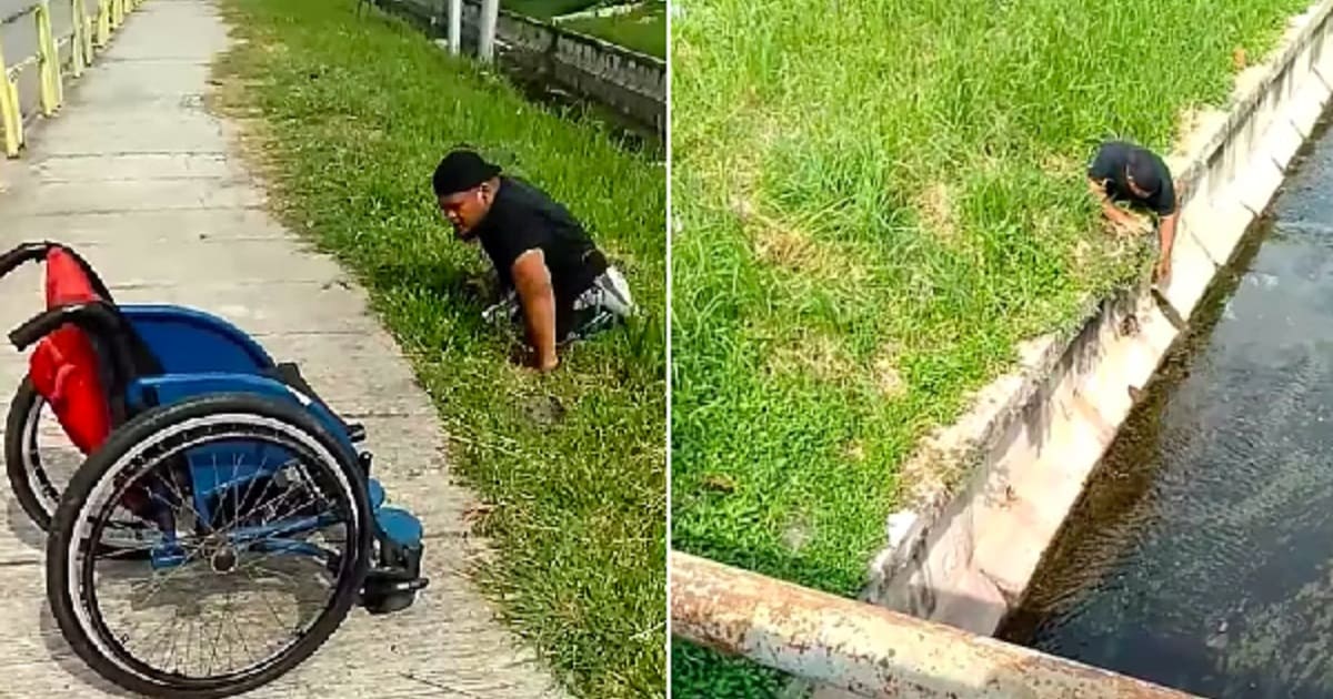 Disabled Man Gets Out Of His Wheelchair To Save Kitten Stuck In Drain