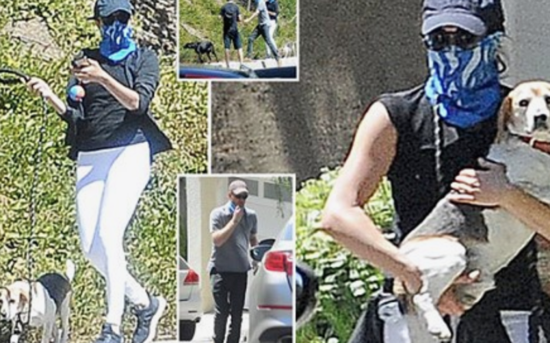 Prince Harry And Meghan Markle Spotted Walking Their Dogs Coronavirus Style