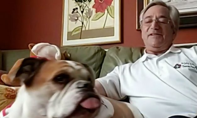 Therapy Dogs Provide Comfort For Seniors Amid Pandemic Virtually