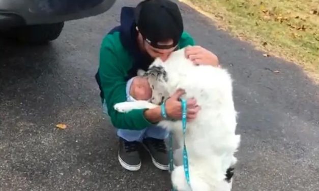 Abused Dog Was Too Hurt To Be Pet Now Can’t Stop Hugging His New Owner
