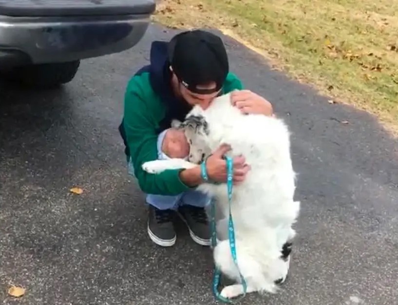 Abused Dog Was Too Hurt To Be Pet Now Can’t Stop Hugging His New Owner