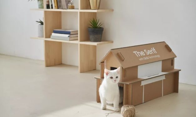 Samsung’s New TV Packaging Can Be Transformed Into A Cat House