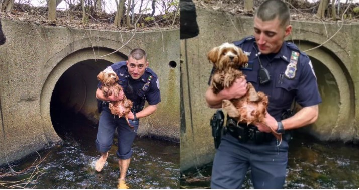 Police Officer Ditches Socks And Shoes To Save A Scared Puppy From A Dark Tunnel