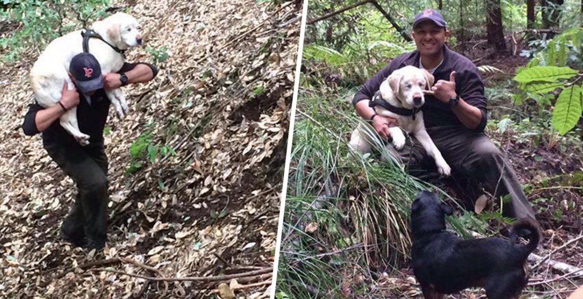 Man Rescues Blind Dog Lost in Woods For 1 Week, Then Turns Down Reward
