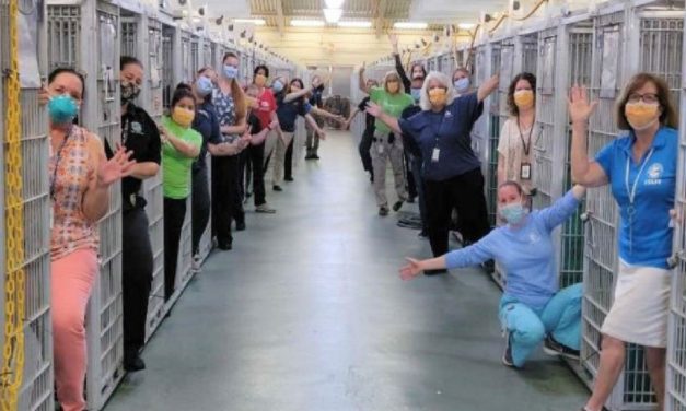 Florida Shelter Empties As Every Dog Gets Adopted For The First Time In Its History