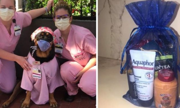 Loki The Therapy Dog Is Delivering Healing Hero Packages To ICU Nurses And Patients