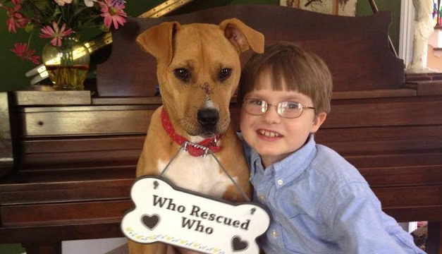 Strong Bond Between Emaciated Dog And Autistic Boy Saves Both Of Them