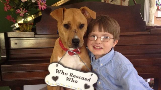 Strong Bond Between Emaciated Dog And Autistic Boy Saves Both Of Them