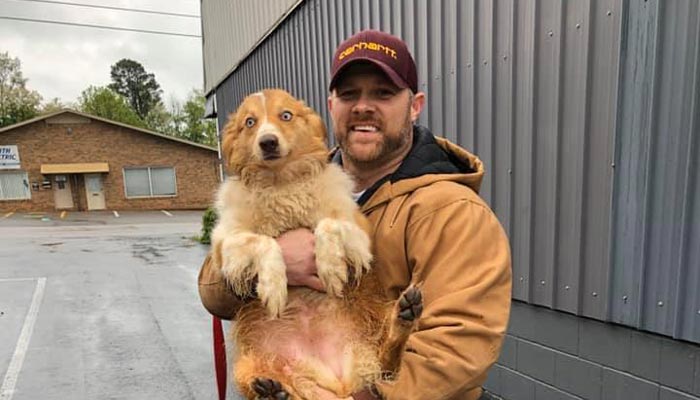 Tennessee Family Finds Missing Dog 54 Days After Tornado Destroys Their House