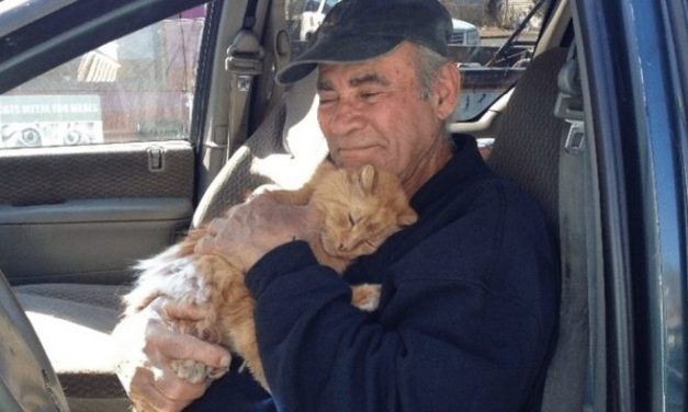 Man Dedicated The Last 22 Years Of His Life To Collecting Scrap Metal To Feed Stray Cats