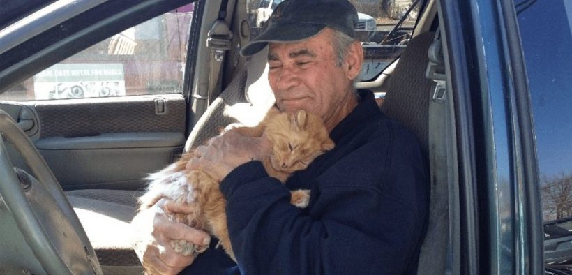 Man Dedicated The Last 22 Years Of His Life To Collecting Scrap Metal To Feed Stray Cats