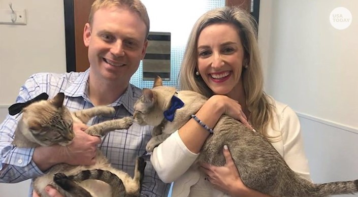 Couple Cancels Wedding Because Of Coronavirus And Adopts Cats