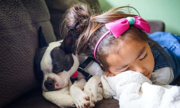 7 Reasons Your Children Need A Dog