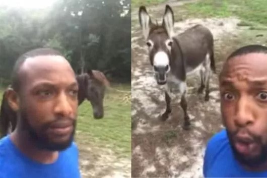 Man Goes Viral After Singing ‘Lion King’ Song With His Donkey