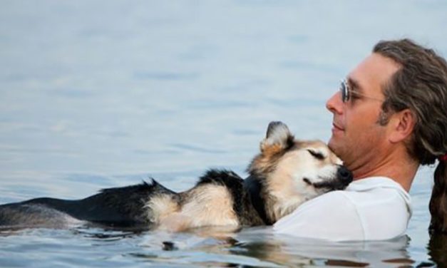 Man Floats With 19 Year Old Elderly Dog Every Day To Ease His Pain