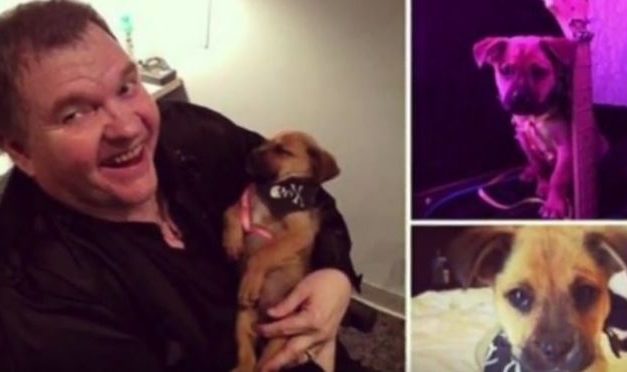 Meatloaf Rescues Puppy From Dumpster While On Tour