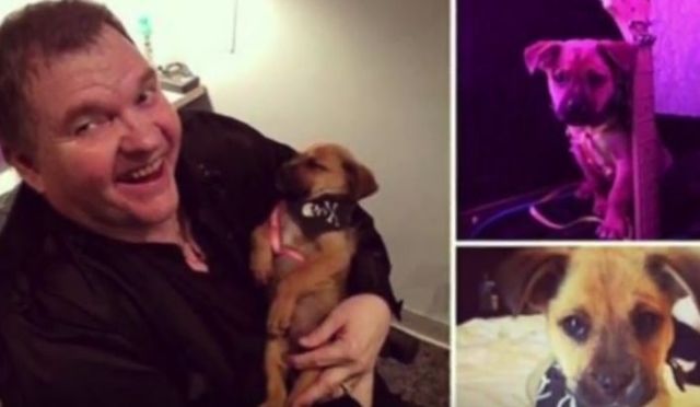Meatloaf Rescues Puppy From Dumpster While On Tour