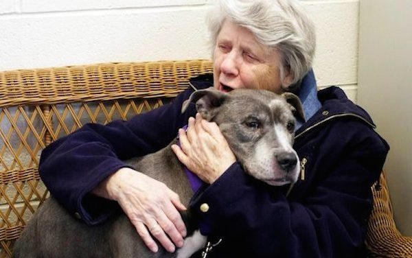 Nuns Adopt Unwanted 9-Year-Old Pit Bull From Shelter