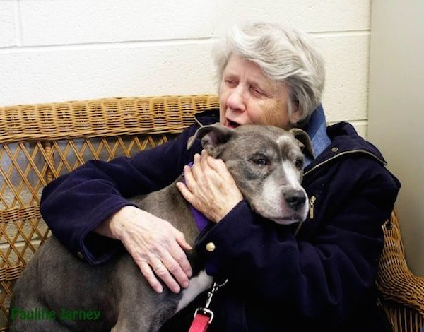 Nuns Adopt Unwanted 9-Year-Old Pit Bull From Shelter