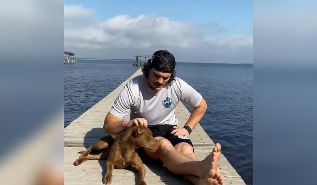 NFL Player Pays For Dog Adoption, 6-Months Food And Encourages People To Do The Same