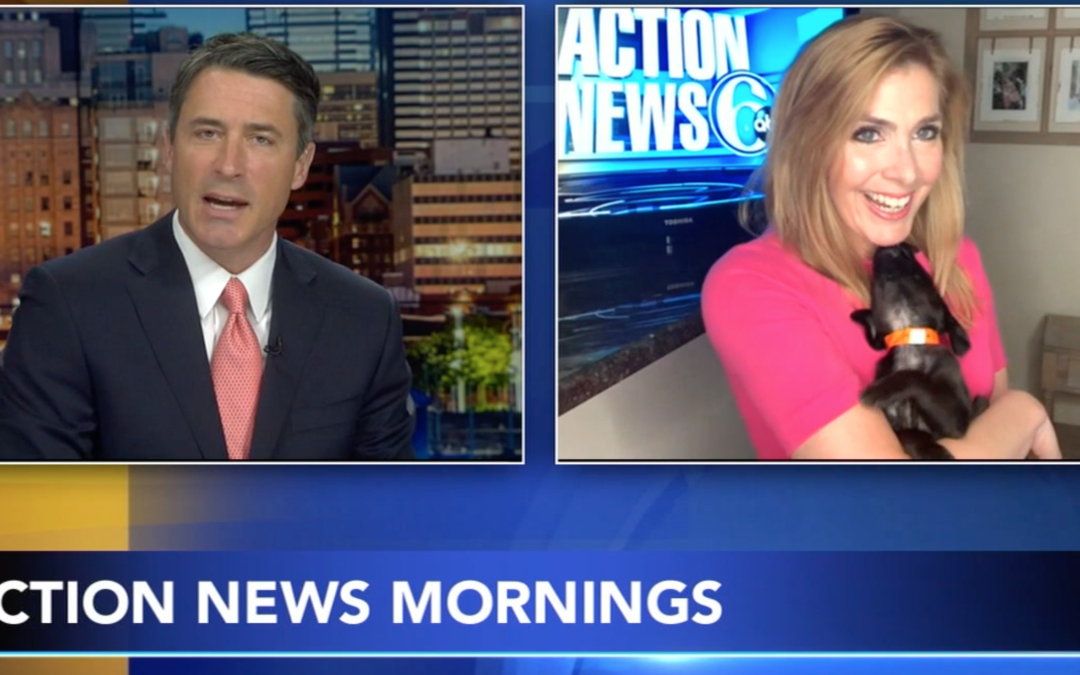 Karen Rogers Introduces Latest Action News Family Member – Bella The Puppy