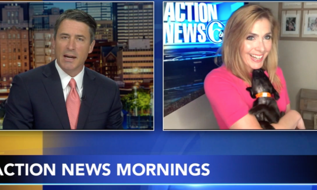 Karen Rogers Introduces Latest Action News Family Member – Bella The Puppy