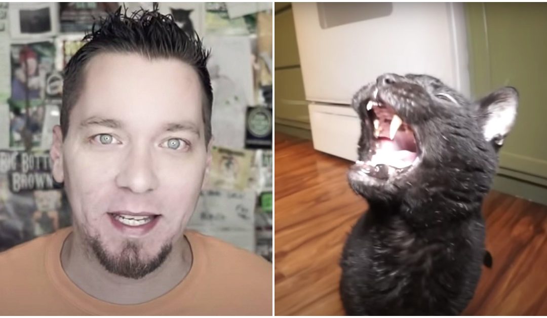 ‘Talking Kitty Cat’ YouTube Star Steve Cash Commits Suicide At 40