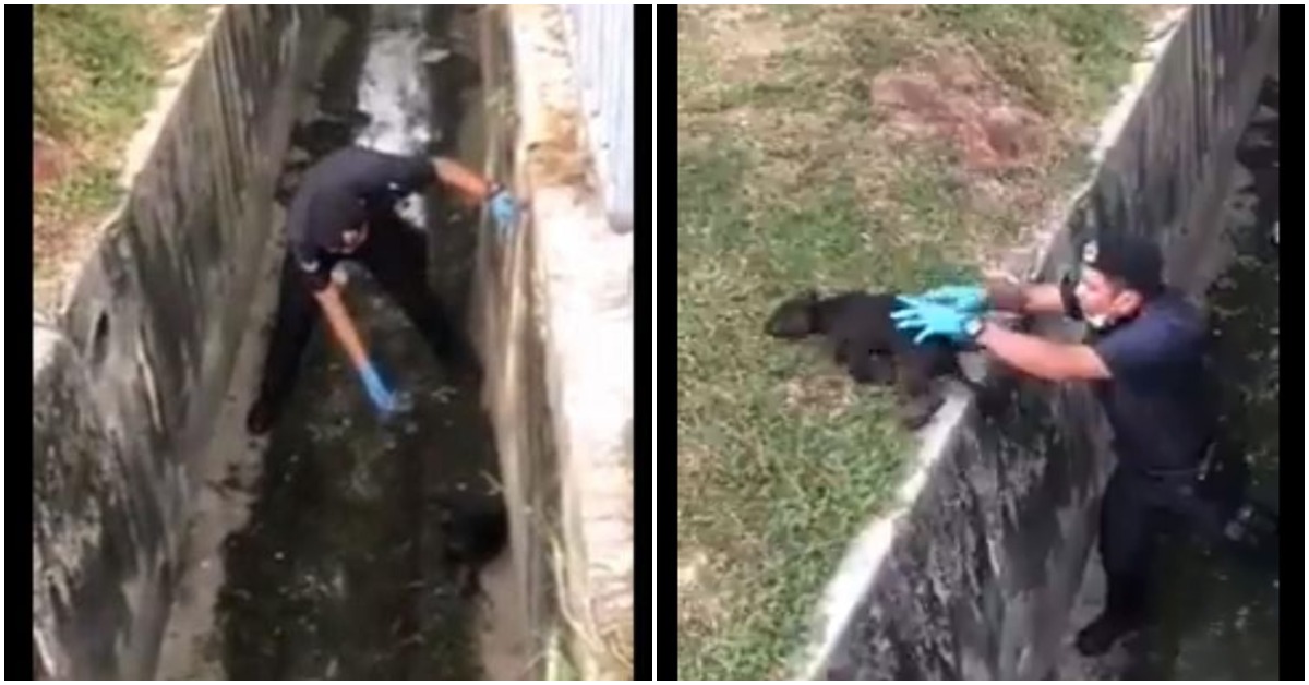 Heartwarming: Cop Reunites Puppy With Family During MCO Patrol