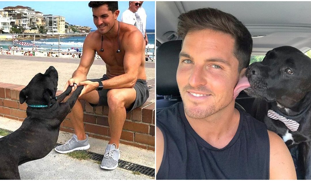 Man Fosters ‘Talking Dog’ For 2-Weeks And Begs To Keep Him