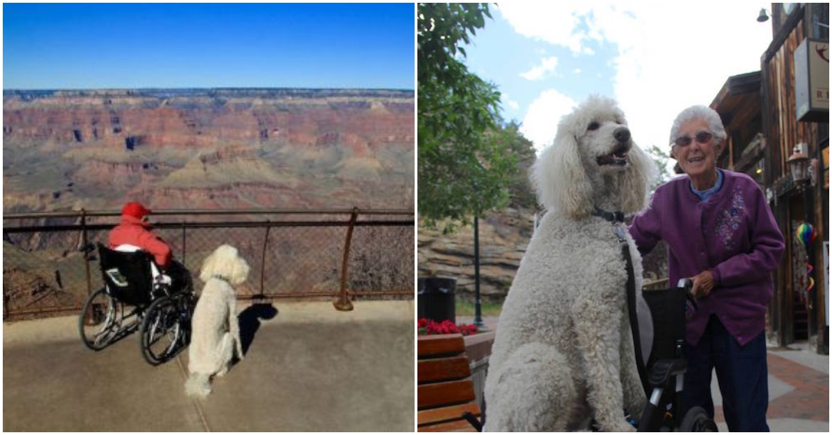90-Year-Old Woman Refuses Chemo And Starts Traveling With Her Dog Instead
