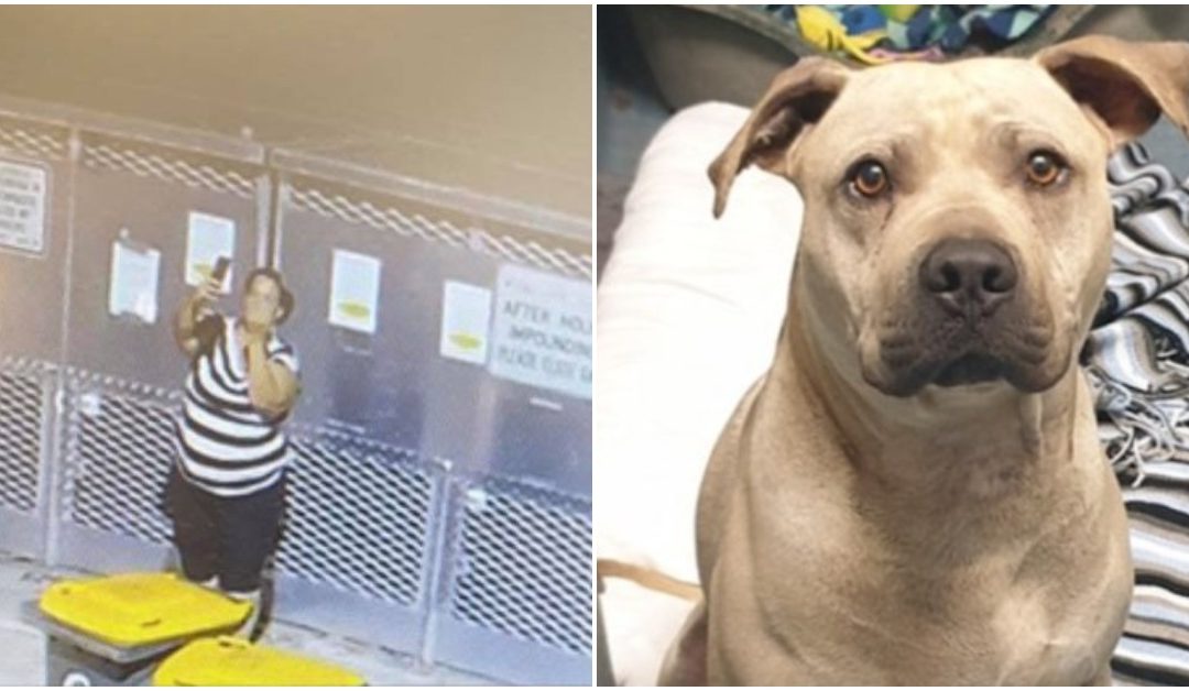 Shameful Woman takes selfie, gives middle finger as she dumps dog at shelter