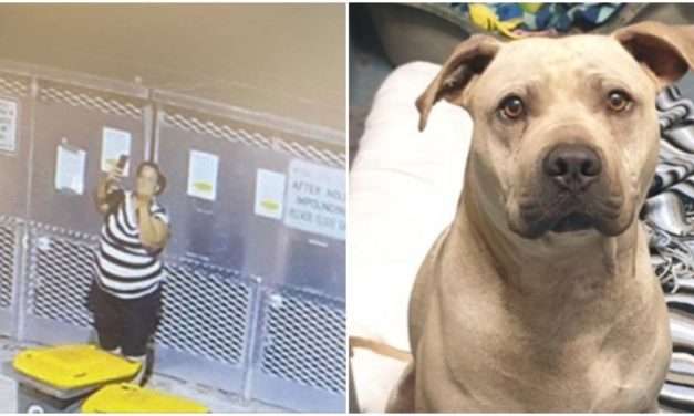 Shameful Woman takes selfie, gives middle finger as she dumps dog at shelter