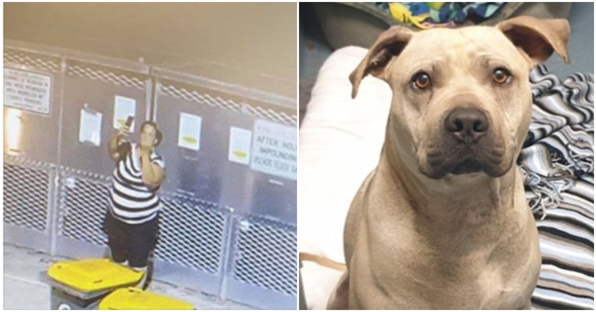 Shameful Woman takes selfie, gives middle finger as she dumps dog at shelter