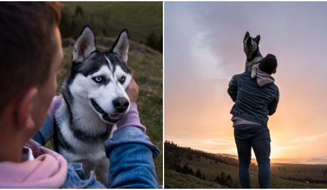 Man Wants To Get His Dog Life-Saving Cancer Surgery, But His Girlfriend Doesn’t Approve